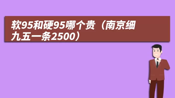 软95和硬95哪个贵(南京细九五一条2500)