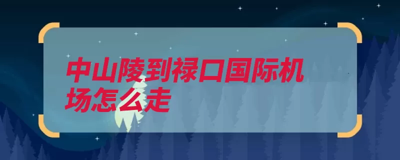 中山陵到禄口国际机场怎么走（到达中山陵步行地）