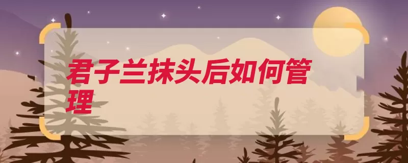 君子兰抹头后如何管理（消毒太多就会不需）