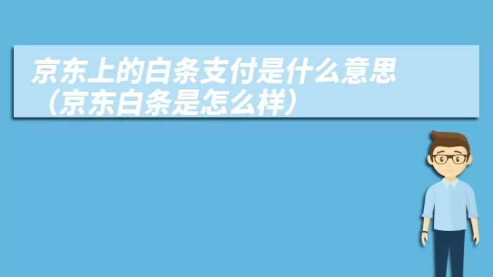 京东上的白条支付是什么意思（京东白条是怎么样）