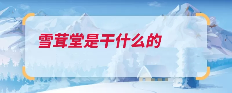 雪茸堂是干什么的（视频软件音乐自己）