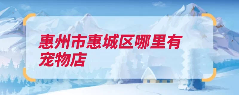 惠州市惠城区哪里有宠物店（惠州市城区广东省）