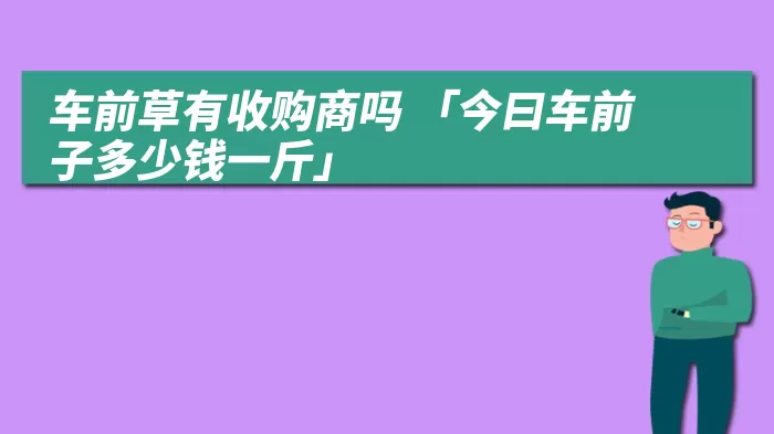 车前草有收购商吗 「今曰车前子多少钱一斤」