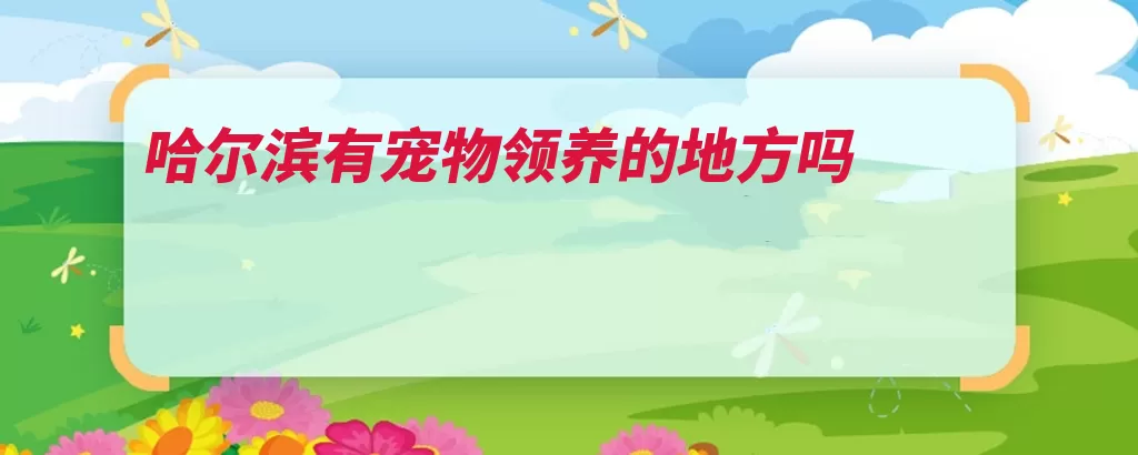 哈尔滨有宠物领养的地方吗（哈尔滨领养中心创）