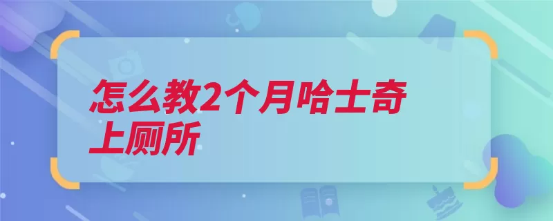 怎么教2个月哈士奇上厕所（哈士奇上厕所表扬）