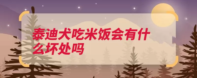 泰迪犬吃米饭会有什么坏处吗（狗狗米饭营养谷物）