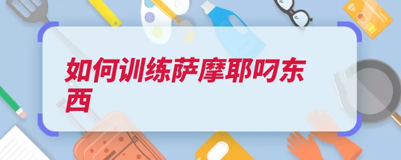 如何训练萨摩耶叼东西（狗狗东西口令主人）