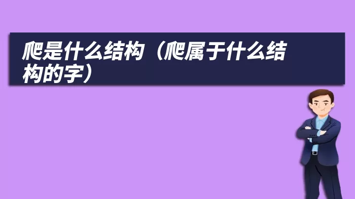 爬是什么结构（爬属于什么结构的字）