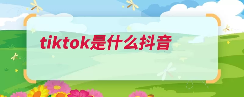 tiktok是什么抖音（出海中国越南古琴）