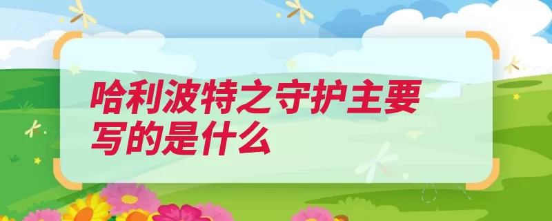 哈利波特之守护主要写的是什么（哈利波特守护的是）
