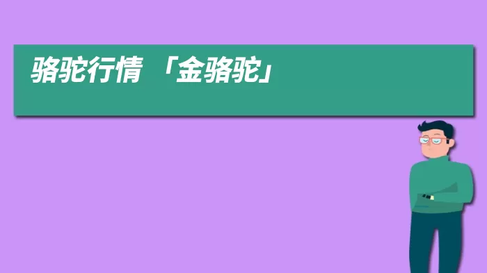 骆驼行情 「金骆驼」