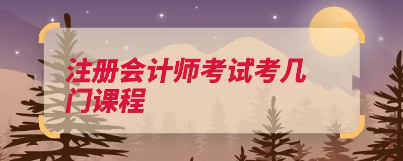 注册会计师考试考几门课程（阶段专业考试科目）