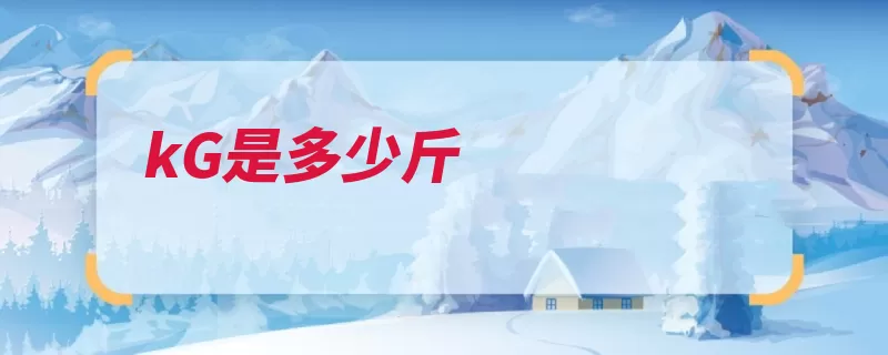 kG是多少斤（国际单位制单位质）