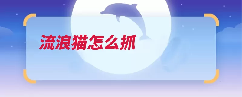 流浪猫怎么抓（饲喂把它笼子引诱）