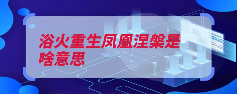 浴火重生凤凰涅槃是啥意思（凤凰是指比喻坚强）