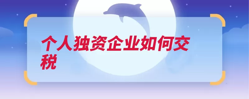 个人独资企业如何交税（所得税独资企业增）