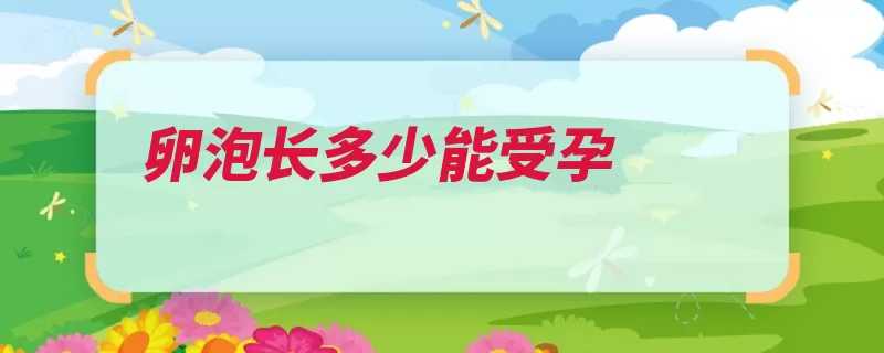 卵泡长多少能受孕（卵子卵泡排出成熟）