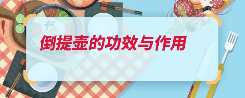 倒提壶的功效与作用（提壶入药白带止咳）