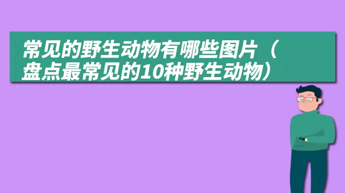 常见的野生动物有哪些图片（盘点最常见的10种野生动物）