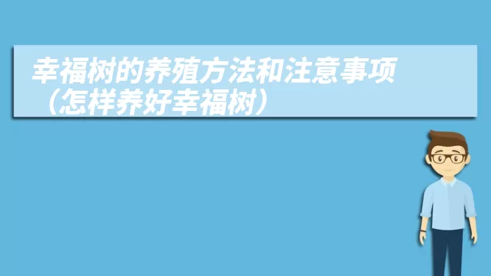 幸福树的养殖方法和注意事项（怎样养好幸福树）