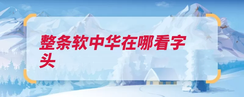 整条软中华在哪看字头（字头数字整条暗码）