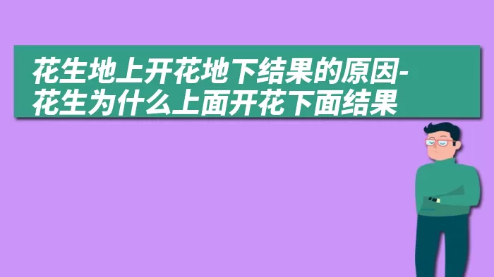 花生地上开花地下结果的原因-花生为什么上面开花下面结果