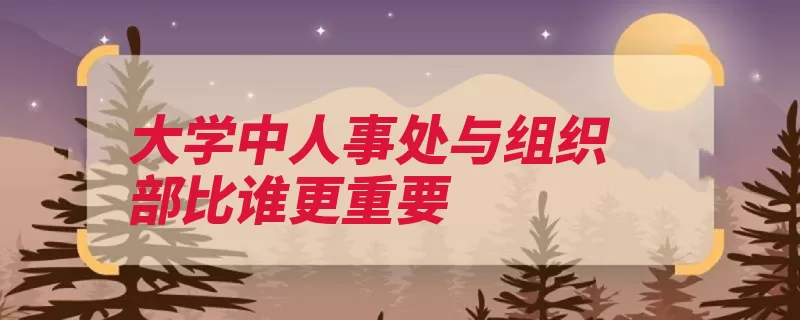 大学中人事处与组织部比谁更重要（组织部人事处团总）