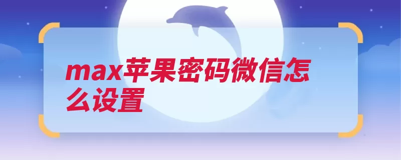 max苹果密码微信怎么设置（设置点击进入加锁）