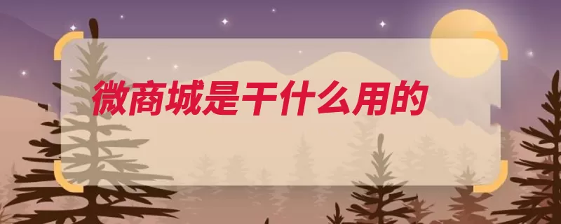 微商城是干什么用的（商城互联网互动在）