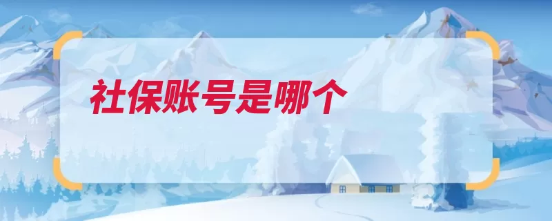 社保账号是哪个（养老社保保险费国）