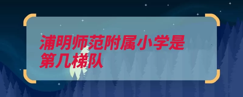 浦明师范附属小学是第几梯队（浦东新区校区教研）