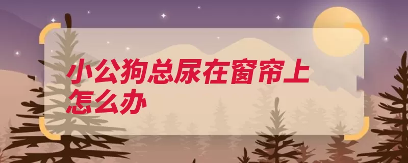 小公狗总尿在窗帘上怎么办（上厕所就会排泄教）