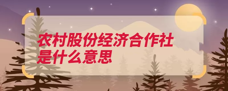 农村股份经济合作社是什么意思（经济合作社股份权）