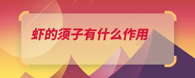 虾的须子有什么作用（头胸部触觉平衡嗅）