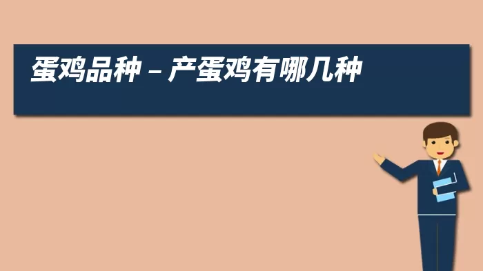 蛋鸡品种 – 产蛋鸡有哪几种