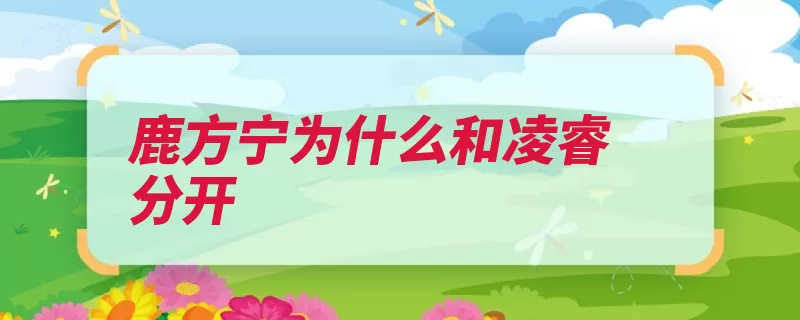 鹿方宁为什么和凌睿分开（结婚家居恋爱金泽）