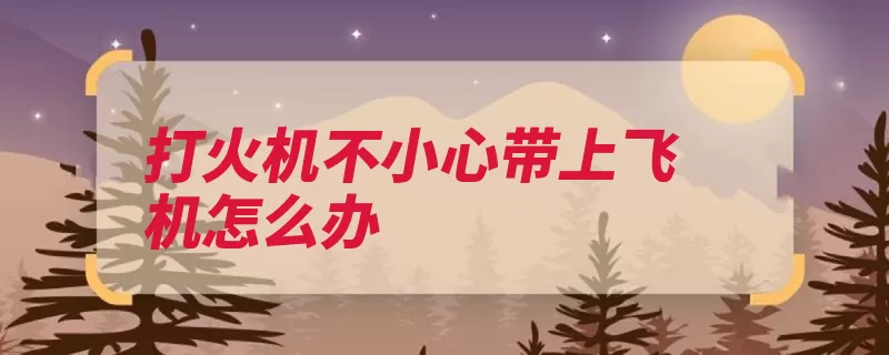 打火机不小心带上飞机怎么办（托运违禁品开箱行）