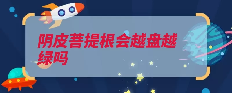 阴皮菩提根会越盘越绿吗（菩提味道热带星月）