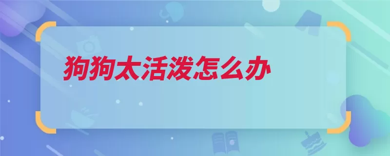 狗狗太活泼怎么办（狗狗主人活泼兴奋）