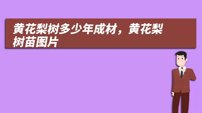 黄花梨树多少年成材,黄花梨树苗图片