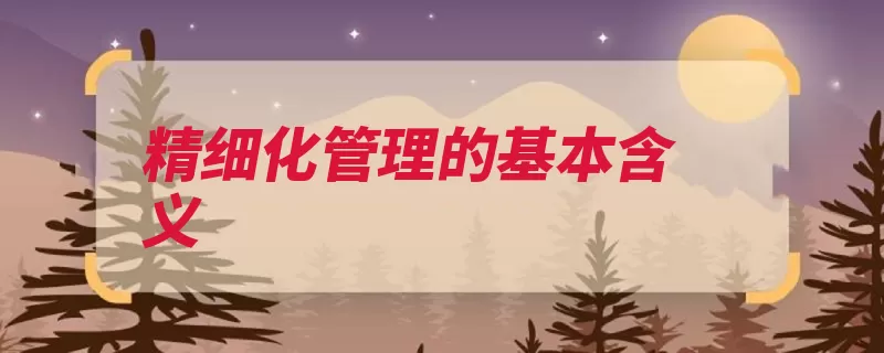 精细化管理的基本含义（管理精细化层次是）