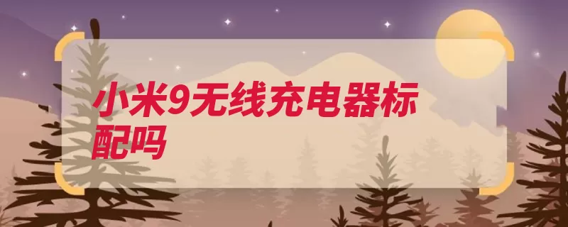 小米9无线充电器标配吗（充电小米手机充电）