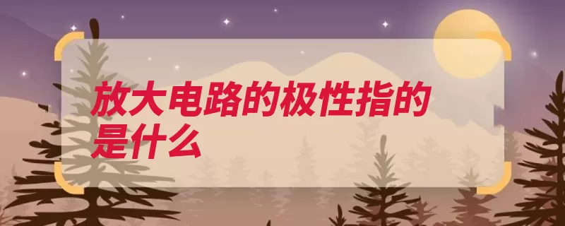 放大电路的极性指的是什么（信号减小输出输入）