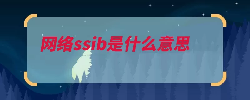 网络ssib是什么意思（无线网络网络身份）