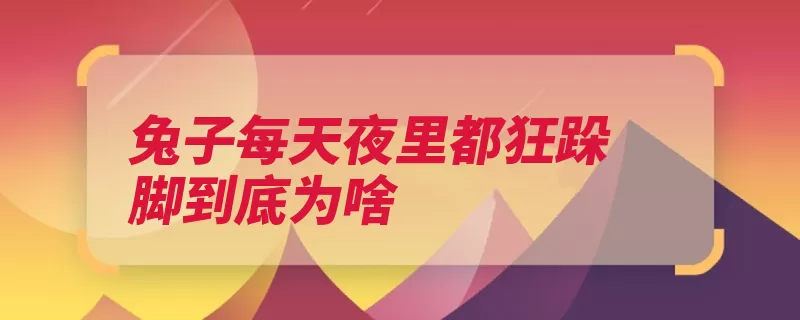 兔子每天夜里都狂跺脚到底为啥（跺脚兔子惊吓夜间）