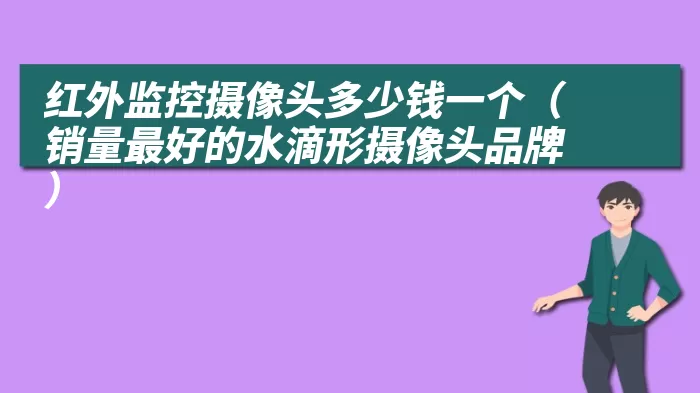 红外监控摄像头多少钱一个（销量最好的水滴形摄像头品牌）