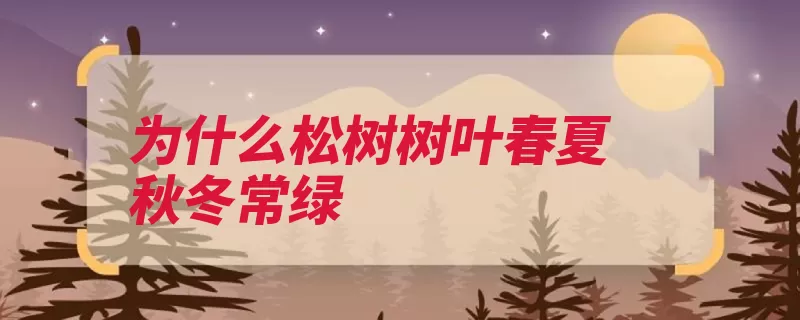 为什么松树树叶春夏秋冬常绿（树叶常绿树松树常）