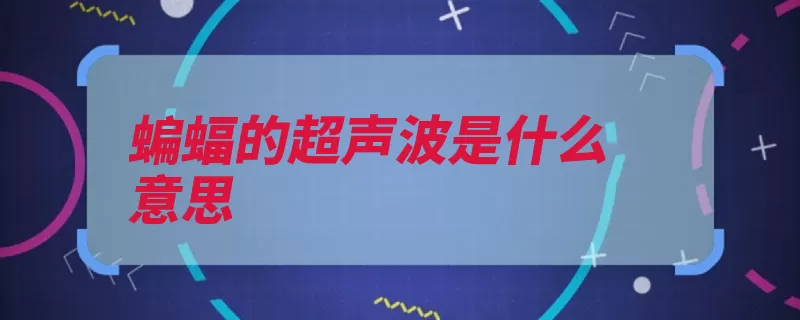 蝙蝠的超声波是什么意思（超声波回声昆虫蝙）