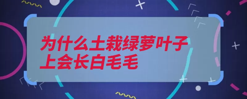 为什么土栽绿萝叶子上会长白毛毛（发酵酵母菌豆汁松）