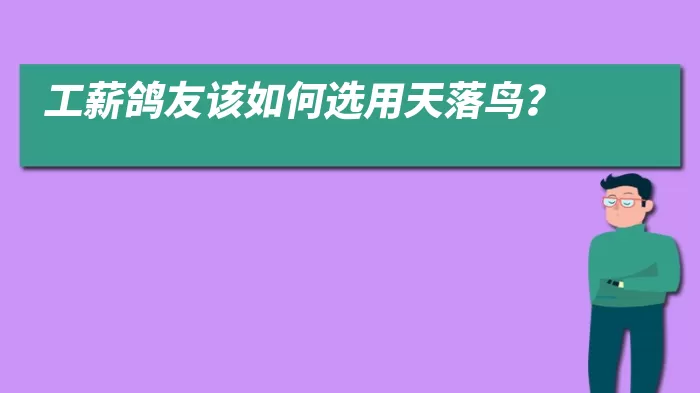 工薪鸽友该如何选用天落鸟？